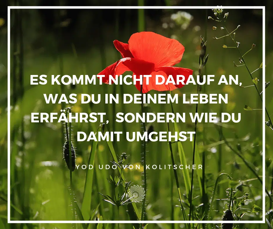 Zitat: Es kommt nicht darauf an, was du im Leben erf?hrst, sondern wir du damit umgehst