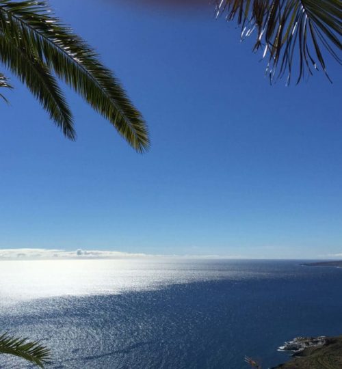 INSTITUTE 43 Meer Teneriffa, Horizont, Palme