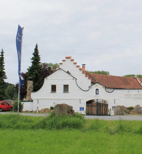 El Molino Vorderansicht Mühle