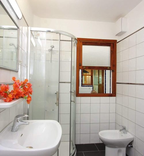 INSTITUTE 62 institut_teneriffa25g