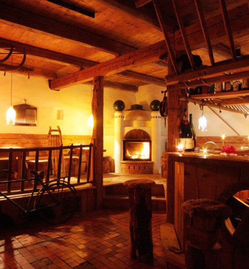 INSTITUTE 23 tiroler_bar Biotic Institute